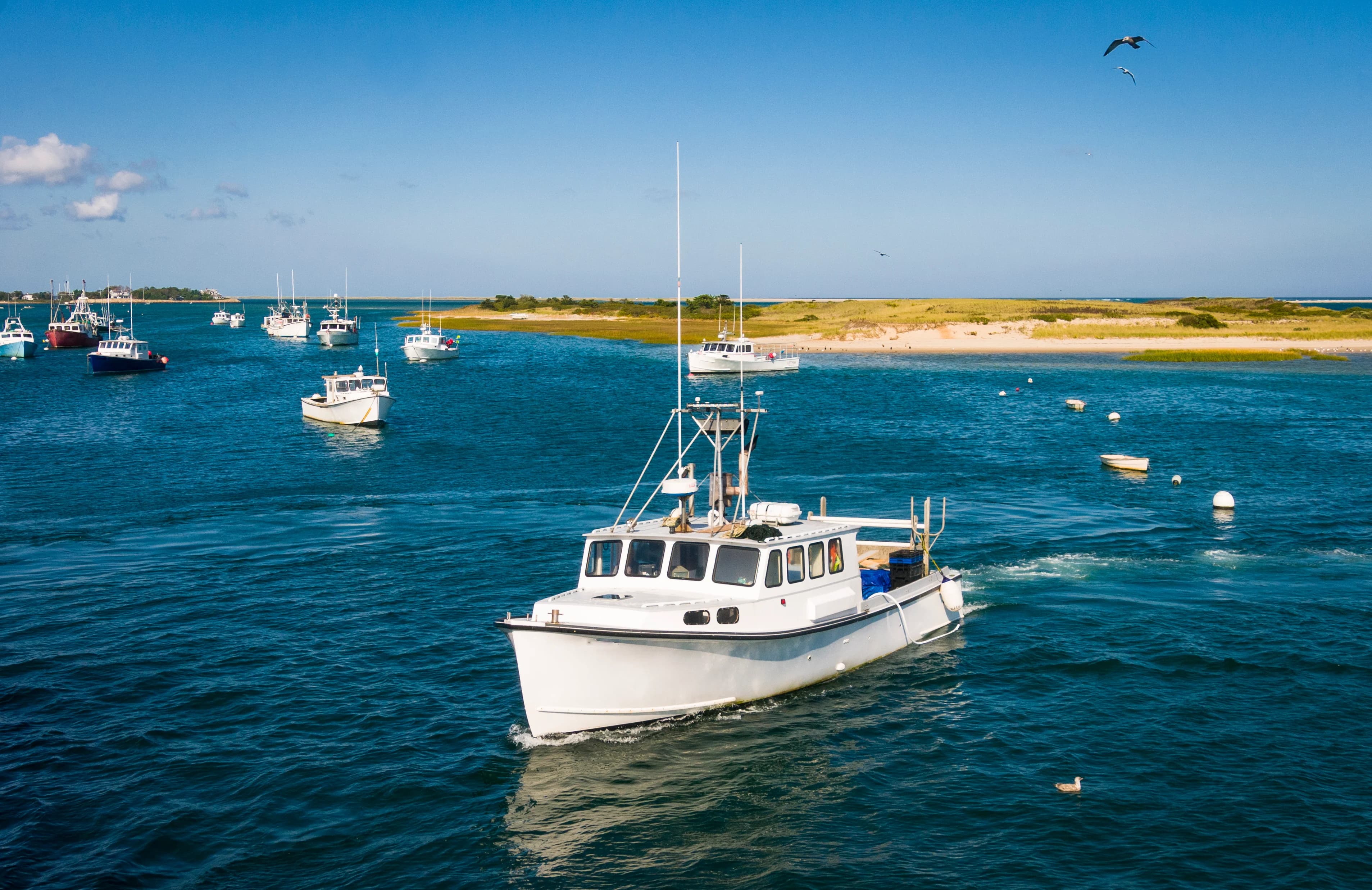 Fishing boats unloading the catch at Chatham Fish Pier