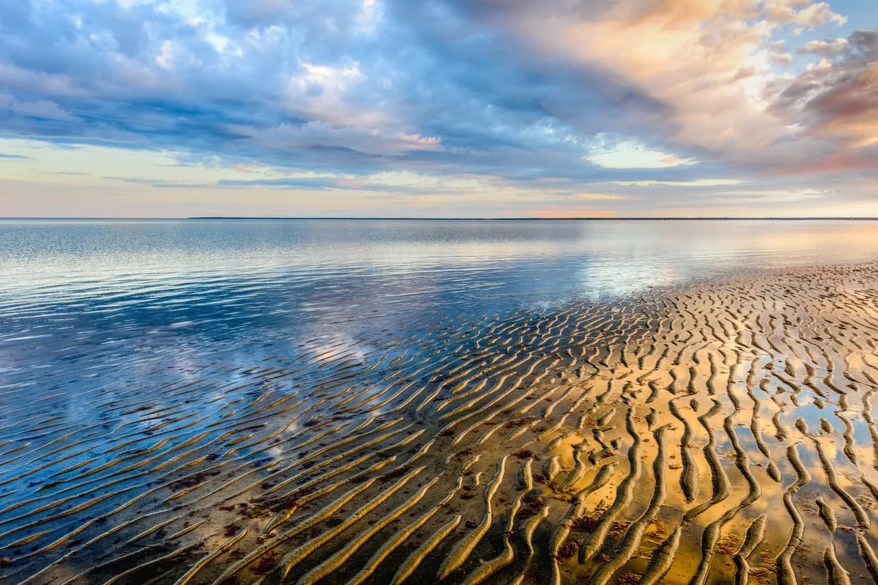 Brewster Flats at low tide