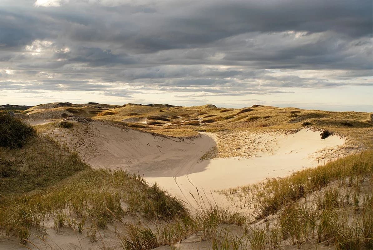 Rolling sand dunes of the Cape Cod National Seashore near Provincetown