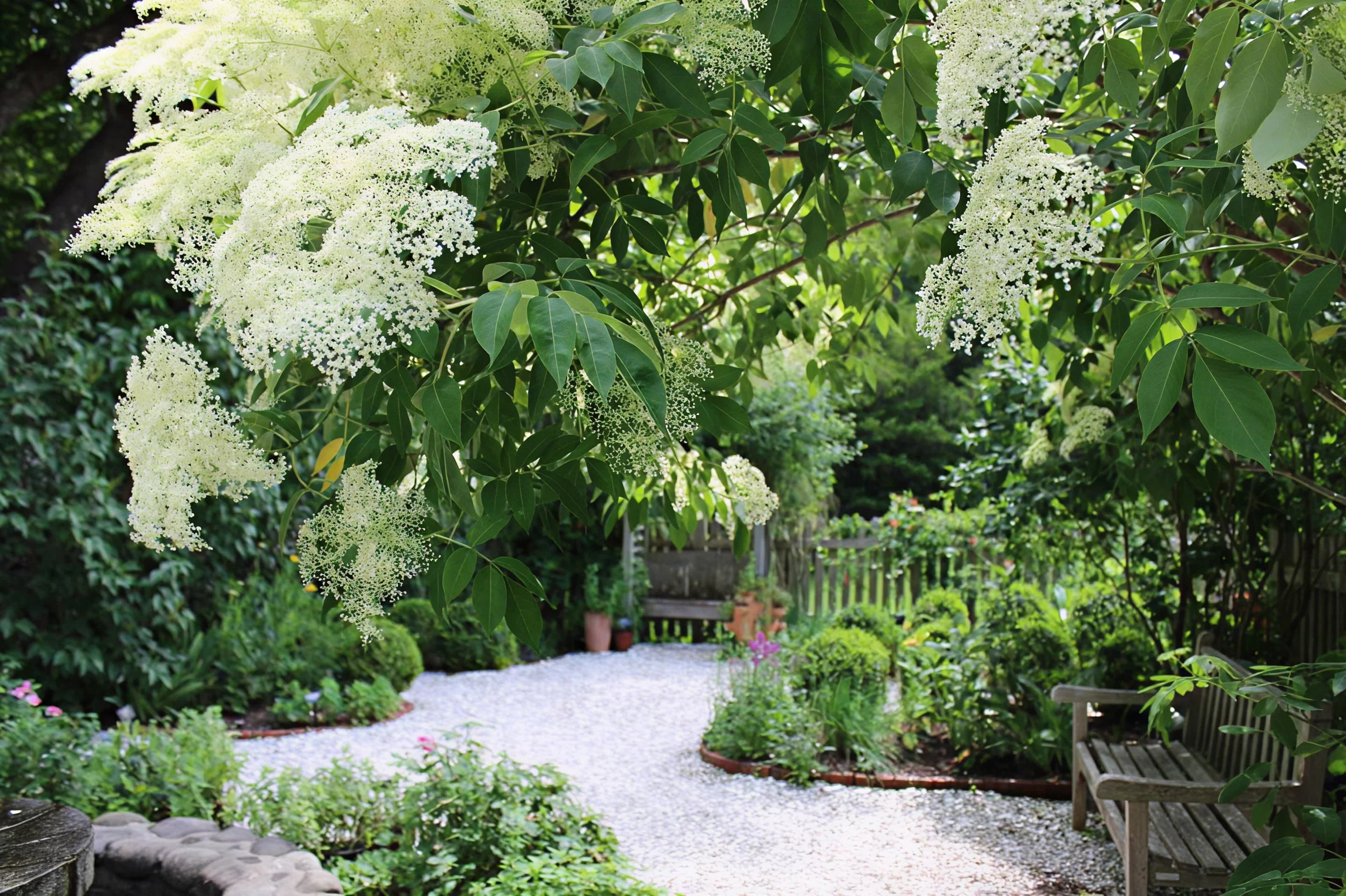 Blooming gardens and pathways at Heritage Museums and Gardens in Sandwich